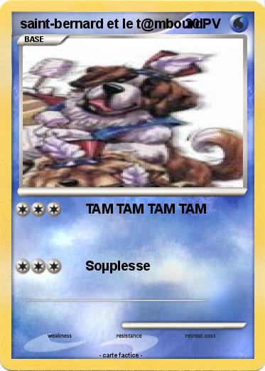 Pokemon saint-bernard et le t@mbourd