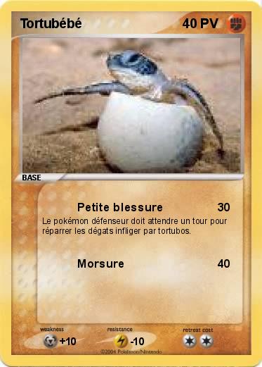 Pokemon Tortubébé