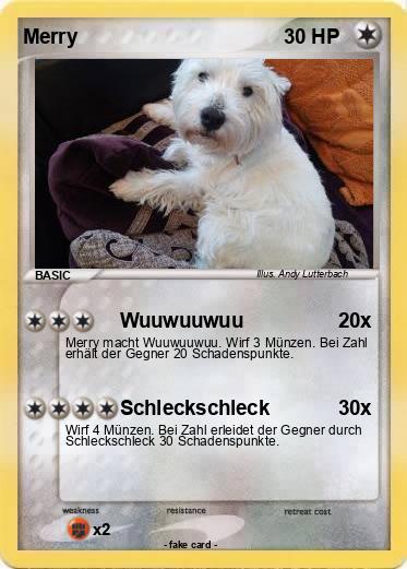 Pokemon Merry