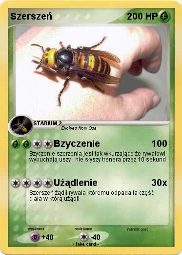 Pokemon Szerszeń