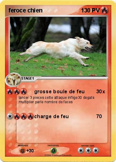 Pokemon feroce chien