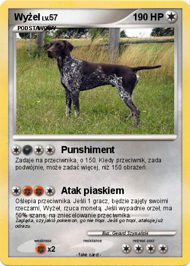 Pokemon Wyżeł