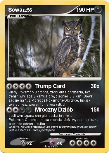 Pokemon Sowa