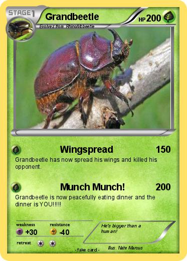 Pokemon Grandbeetle