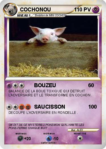 Pokemon COCHONOU