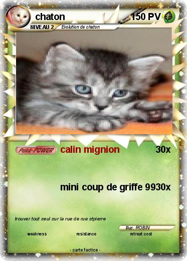 Pokemon chaton