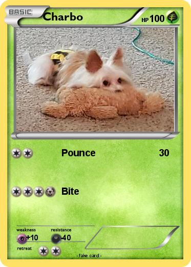 Pokemon Charbo