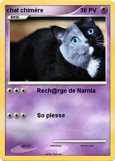 Pokemon chat chimère