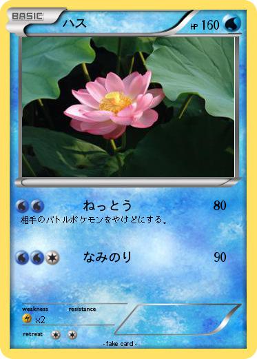Pokemon ハス