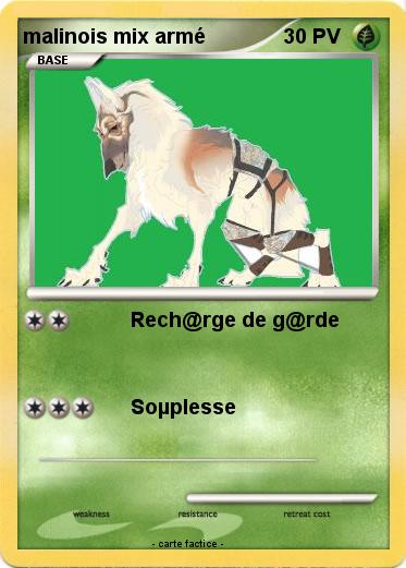 Pokemon malinois mix armé