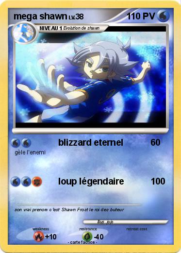 Pokemon mega shawn