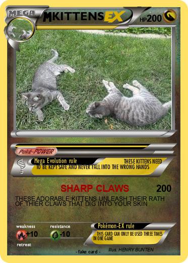 Pokemon KITTENS