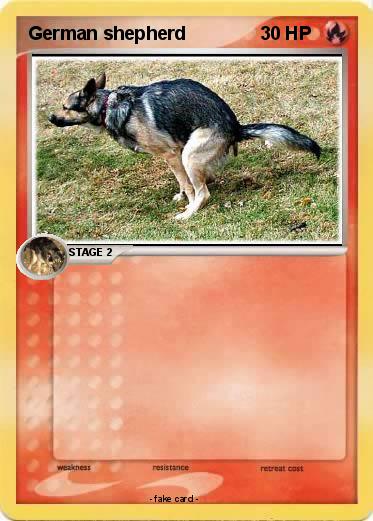 Pokemon German shepherd