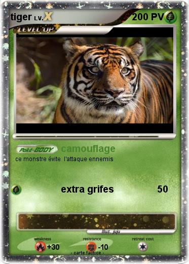 Pokemon tiger