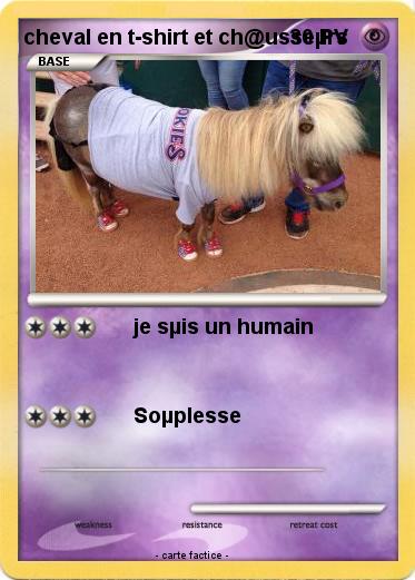 Pokemon cheval en t-shirt et ch@usseµrs