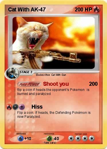 Pokemon Cat With AK-47