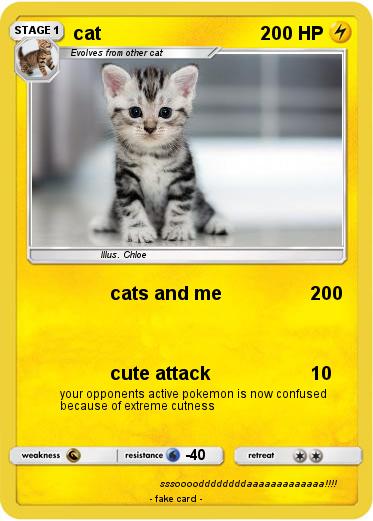 Pokemon cat