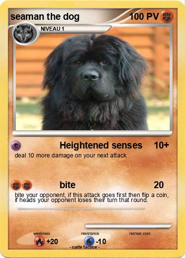 Pokemon seaman the dog