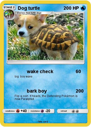 Pokemon Dog turtle