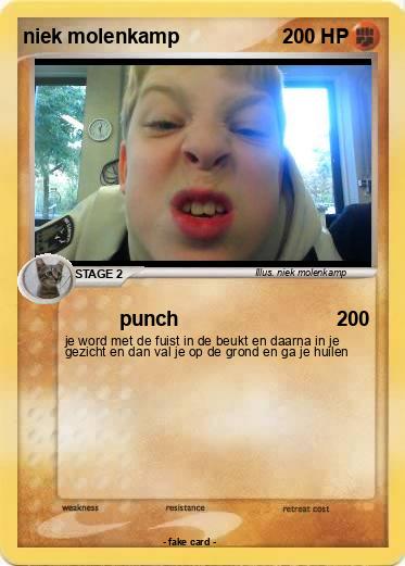 Pokemon niek molenkamp