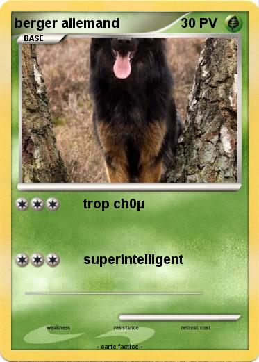 Pokemon berger allemand