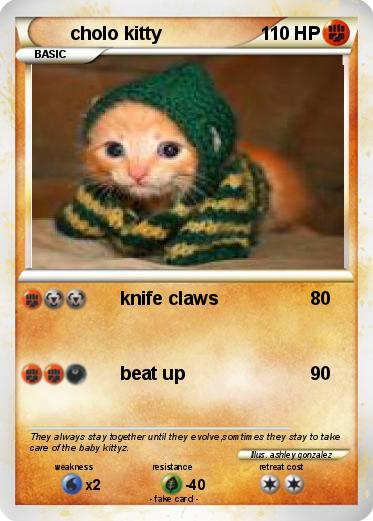 Pokemon cholo kitty