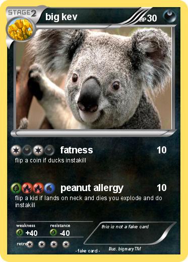 Pokemon big kev
