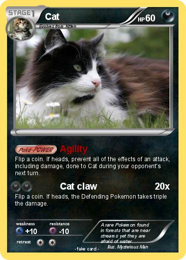 Pokemon Cat