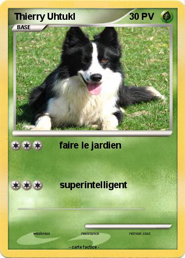 Pokemon Thierry Uhtukl