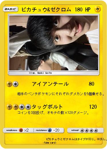 Pokemon ピカチュウ&ゼクロム