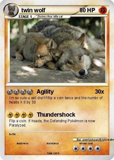 Pokemon twin wolf