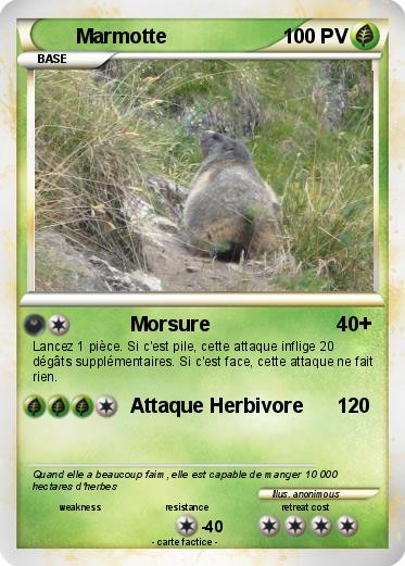 Pokemon Marmotte