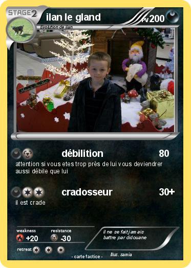 Pokemon ilan le gland