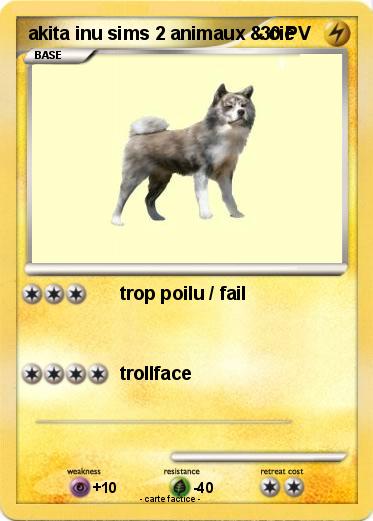 Pokemon akita inu sims 2 animaux & cie