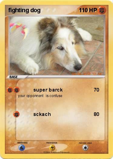 Pokemon fighting dog
