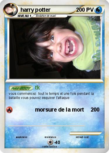 Pokemon harry potter