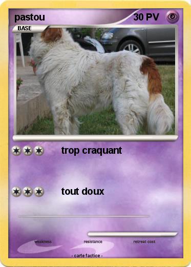 Pokemon pastou