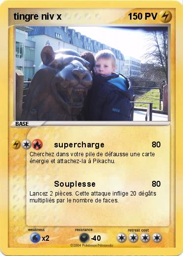 Pokemon tingre niv x