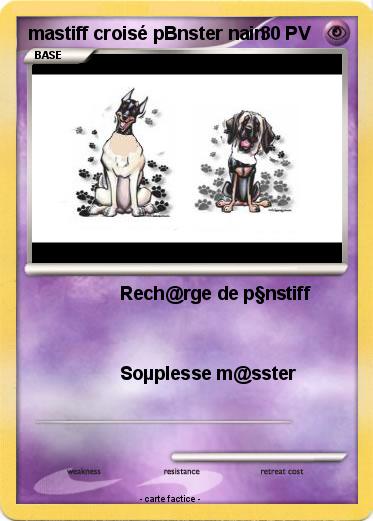 Pokemon mastiff croisé pBnster nain