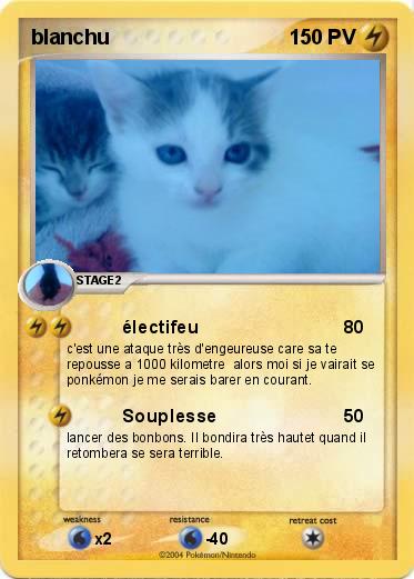 Pokemon blanchu