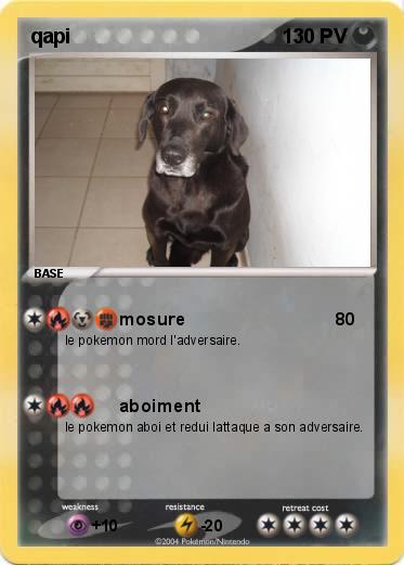 Pokemon qapi