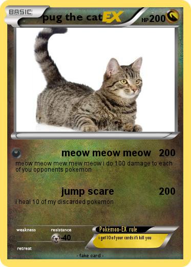 Pokemon pug the cat