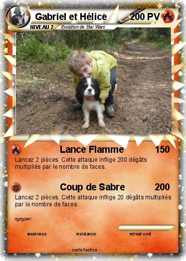 Pokemon Gabriel et Hélice