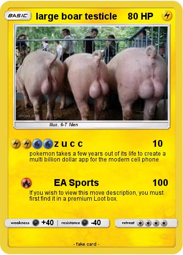 Pokemon large boar testicle