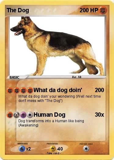 Pokemon The Dog
