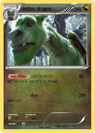 Pokemon petes dragon