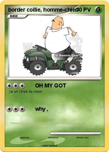 Pokemon border collie, homme-chien
