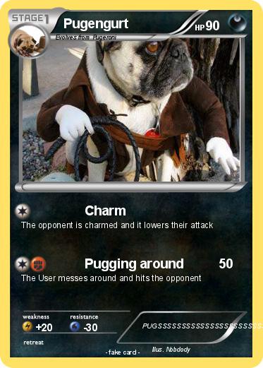 Pokemon Pugengurt