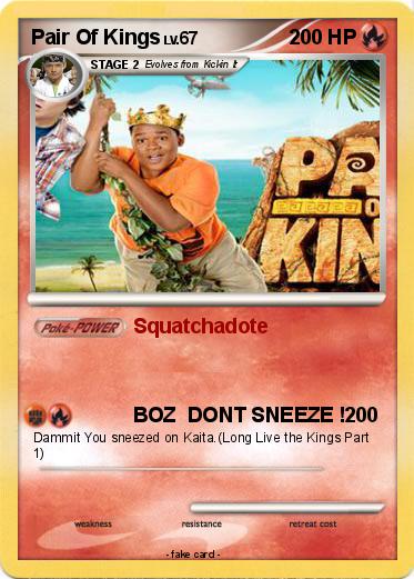 Pokemon Pair Of Kings