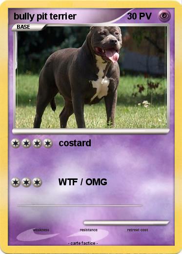Pokemon bully pit terrier